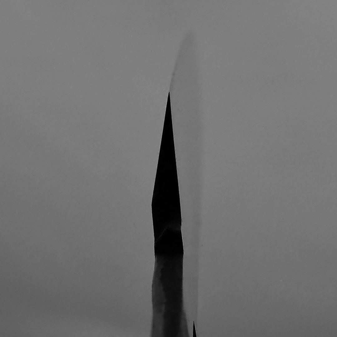 Japanese yanagiba/sashimi knife 270mm HATSUKOKORO  Kurouchi  Aogami2 Blue Steel No.2 polished by Naohito Myojin Single edged (for Right-handed persons)