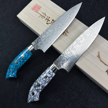 Japanese Takeshi Saji petty knife 130mm R2/SG2 powder steel Mirror damascus knife